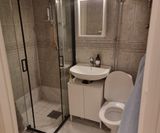 toalett_renovering